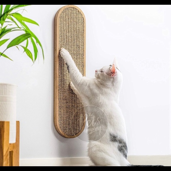 Scratchpad for Cats, kittens - Picture 4 of 5